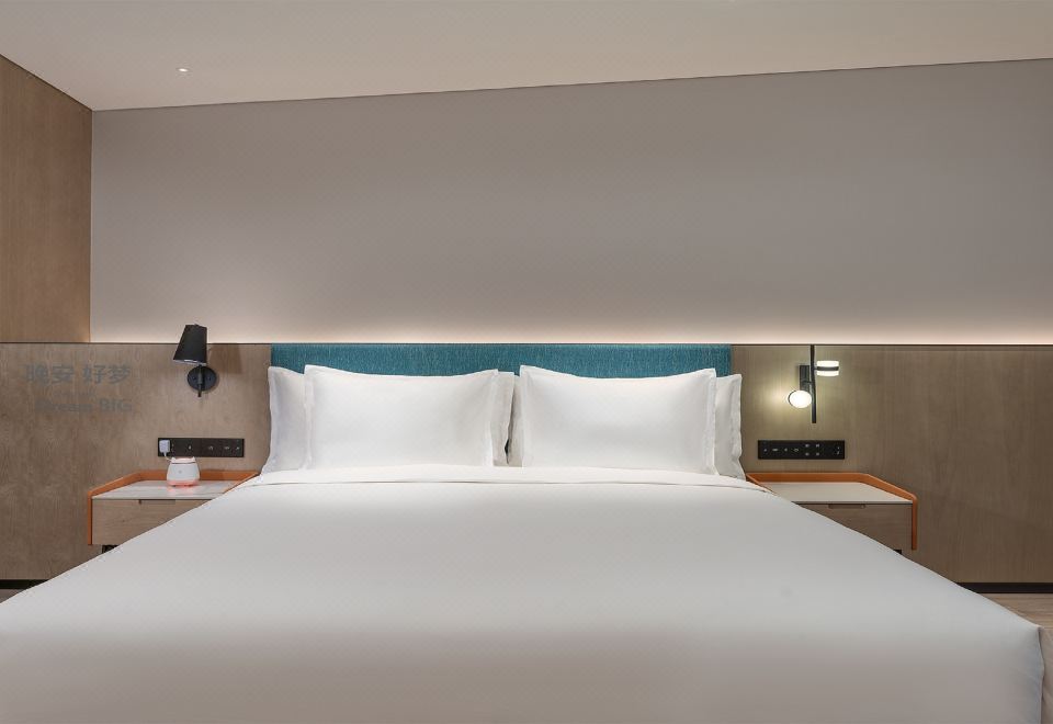 逸衡套房（智能健身FITURE魔镜）