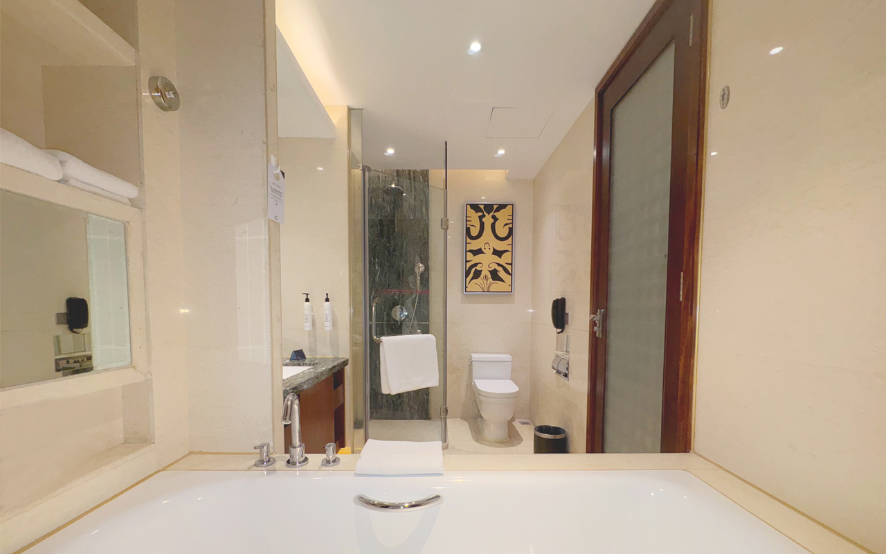 温泉豪华双床房（温泉水+观景大阳台）