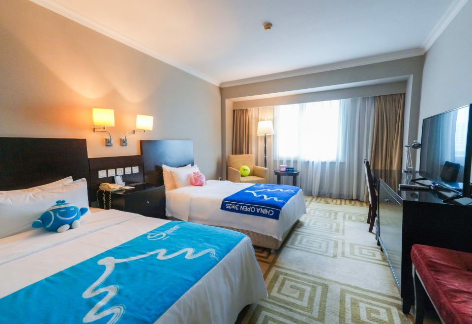 中网主题豪华双床房