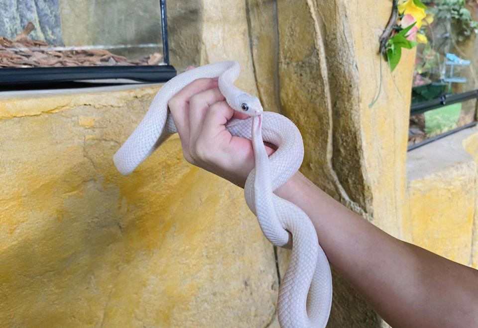 Pagoda Hotel, Baoan,Qianhai, ShenzhenDeluxe 2-bed Room Animal Park Package