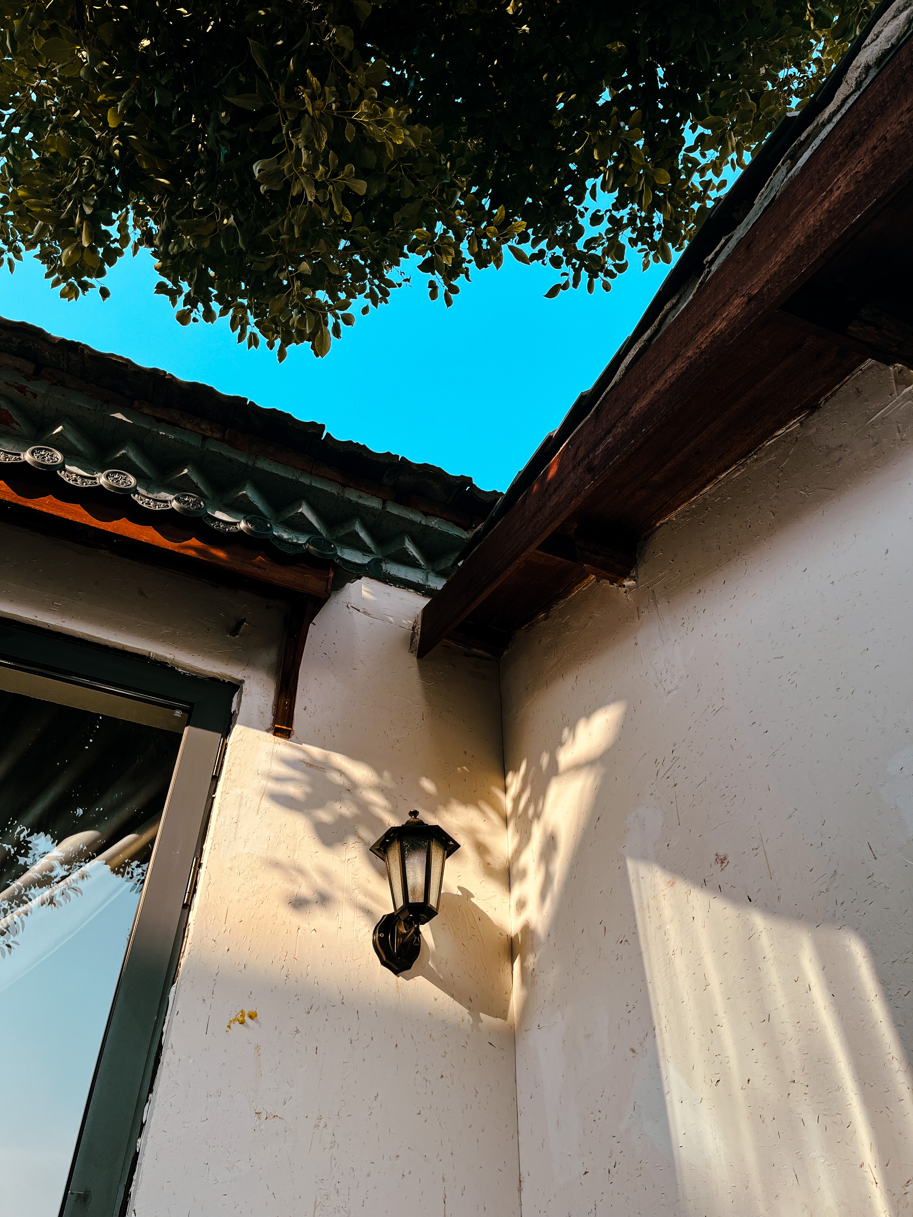 椿月-花园景观大床房