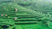 Hanshan se lake yunding resort (Fengshun Hotel, Meizhou)