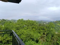 Villa Forest View