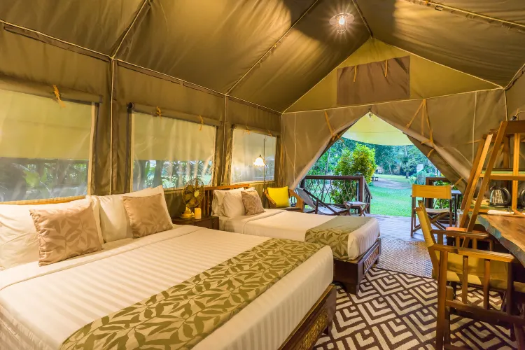 ดีลักซ์ เต็นท์ พักได้ 3 คน