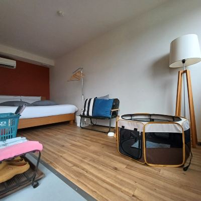 DOGデラックス 藤乃煌 富士御殿場 クーポン