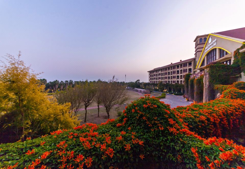 豪华花园阳台大床房（独立观景阳台）