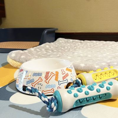 萌寵樂園友好雙床房 韶關碧桂園太陽城酒店（高鐵站店）優惠