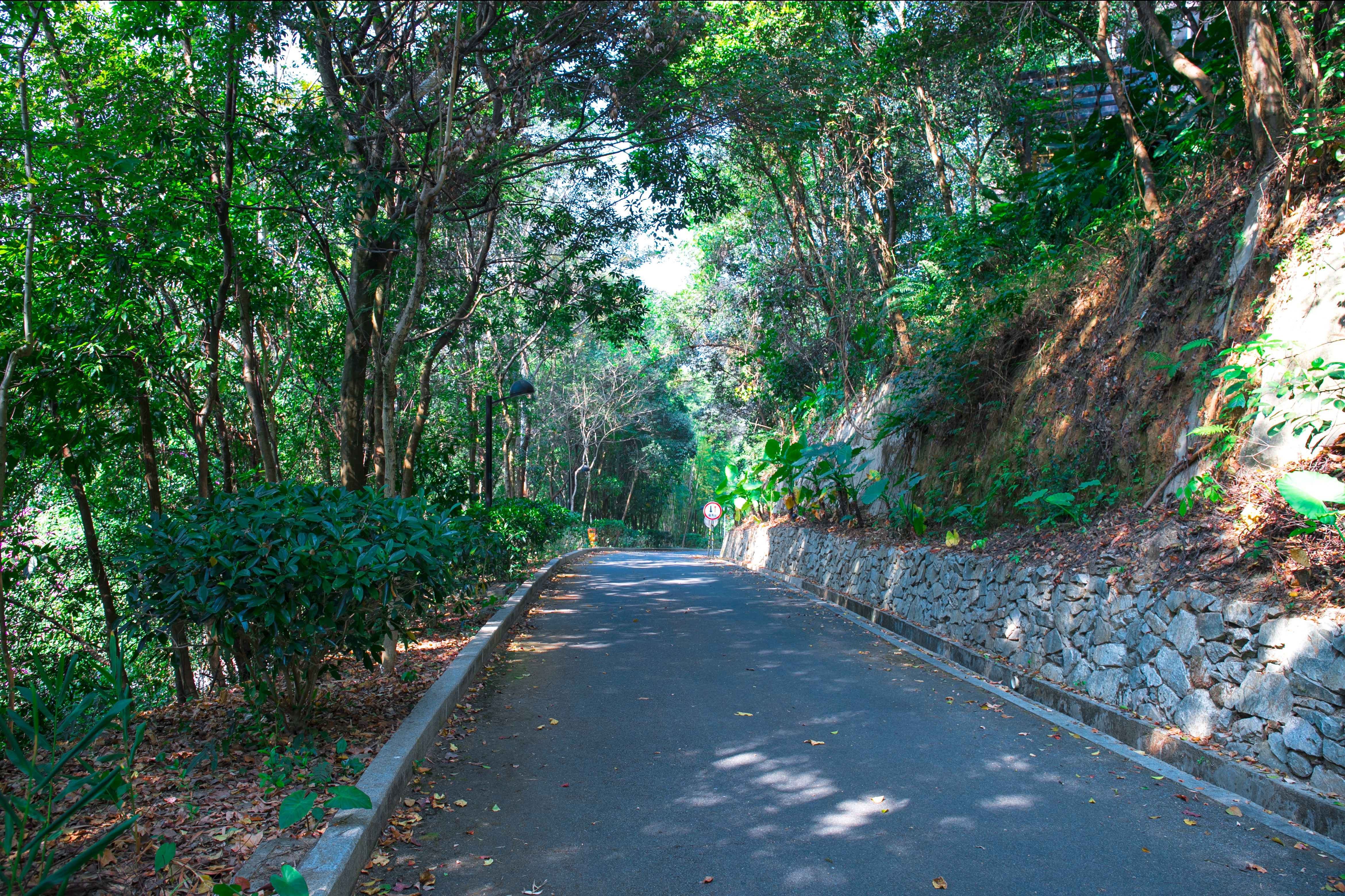 地派鸣泉居-四房两厅别墅-私家泡池-欢聚麻将桌