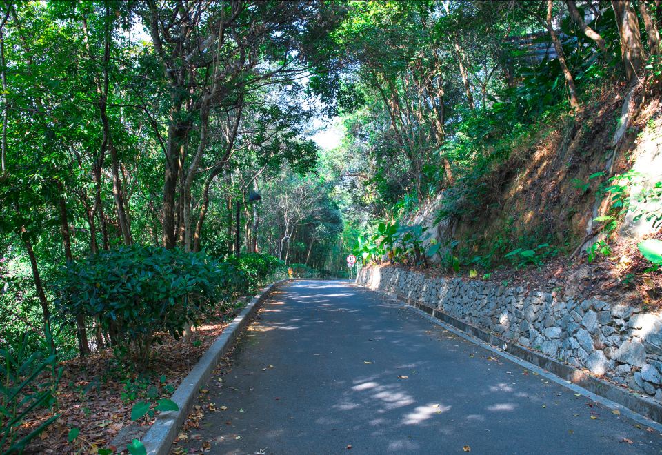 地派鸣泉居-四房两厅别墅-私家泡池-欢聚麻将桌