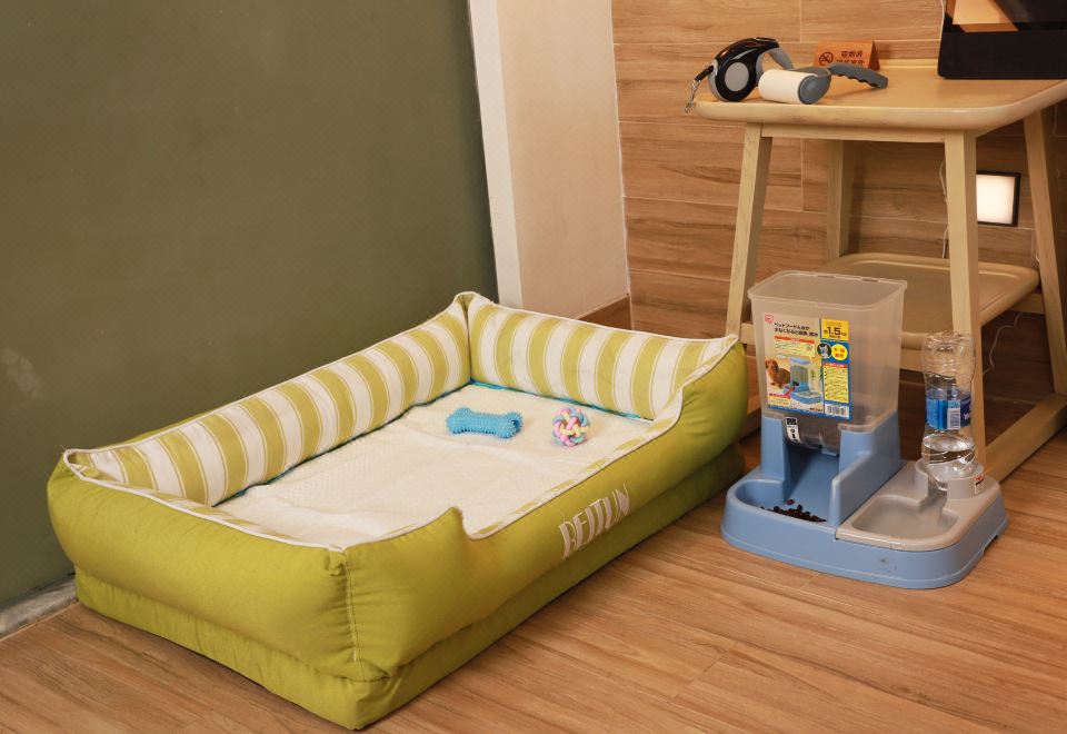 萌寵主題家庭房