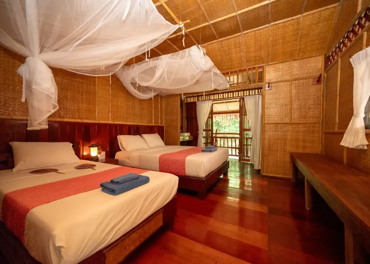 ห้องพักจังเกิ้ลไวบ์