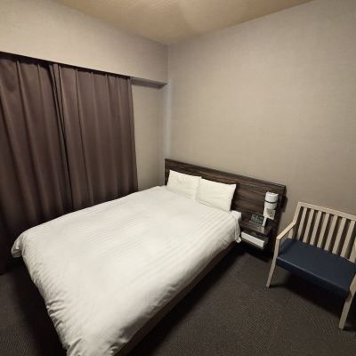 バスなしのエコノミールーム-禁煙(ダブルベッド) 袖湊の湯　ドーミーインＰＲＥＭＩＵＭ博多・キャナルシティ前 クーポン