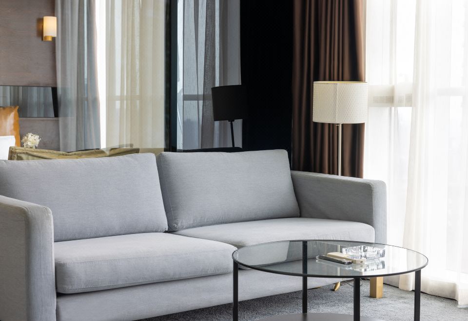 精致一室一厅套房