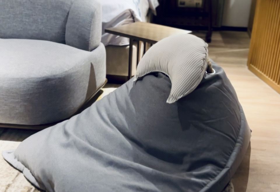 山野主题双床房-复式星河帐篷探险