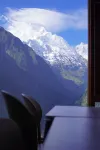 Cat in Yubeng Snow Mountain View Guesthouse