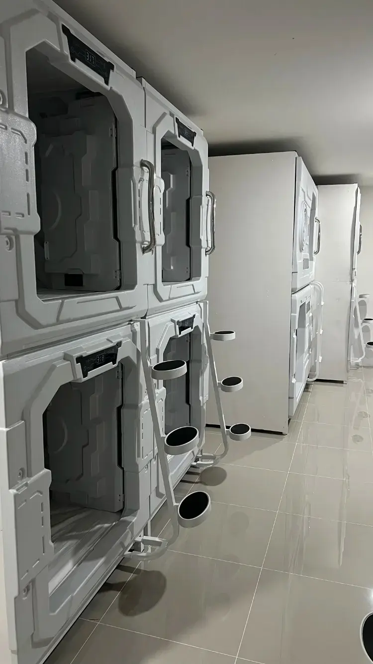 แคปซูลเตียงใหญ่