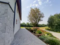 NOVI Vineyard