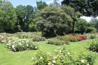 City Hotel Winschoten Hoteles en 