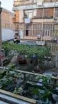 Moosica Hostel