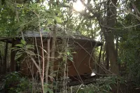 シギリヤ ワイルド コテージズ