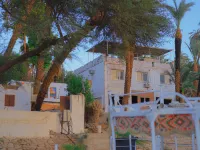 Rayan Nubian Guest House 亞斯文住宿飯店