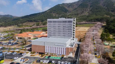 WELLPARK HOTEL GOCHANG Hotels in 