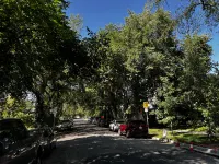 Nature Home Near Downtown and 17th Avenue
