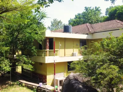 Olivia Guesthouse Hotels in 