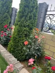 Edem issykkul Hoteles en 