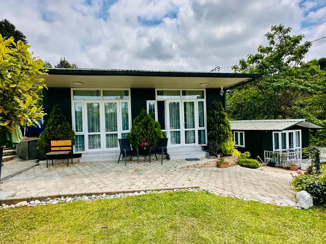 Krupitskiy House - Georgia