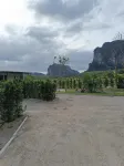 Nordic Mountain View