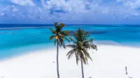Dhangethi Inn