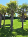 Natura Resorts Hotels in 