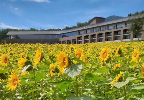FURANO HOTEL (Renewal Opening on May, 2025)