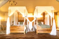 Malaika Seronera Luxury Camp Hotel a 