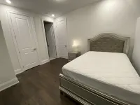 Modern. Bright. Brand New central North York home