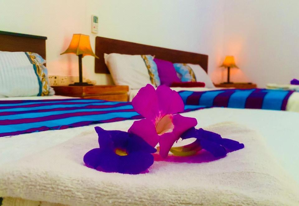 Aloe Homestay（床位房）（混合入住）