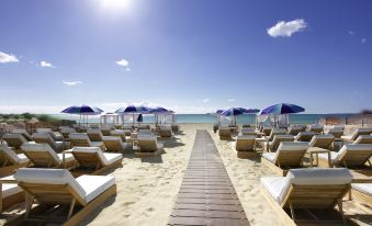 a beach with rows of lounge chairs and umbrellas , and a wooden walkway leading to the ocean at Hard Rock Hotel Ibiza