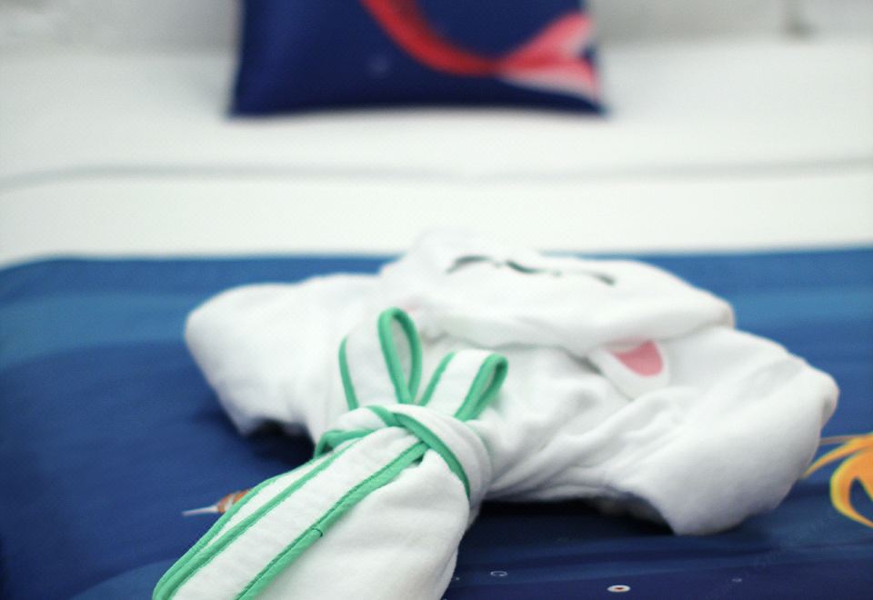 Howard Johnson Agile Plaza ChengduCartoon Themed Room (Double Bed)