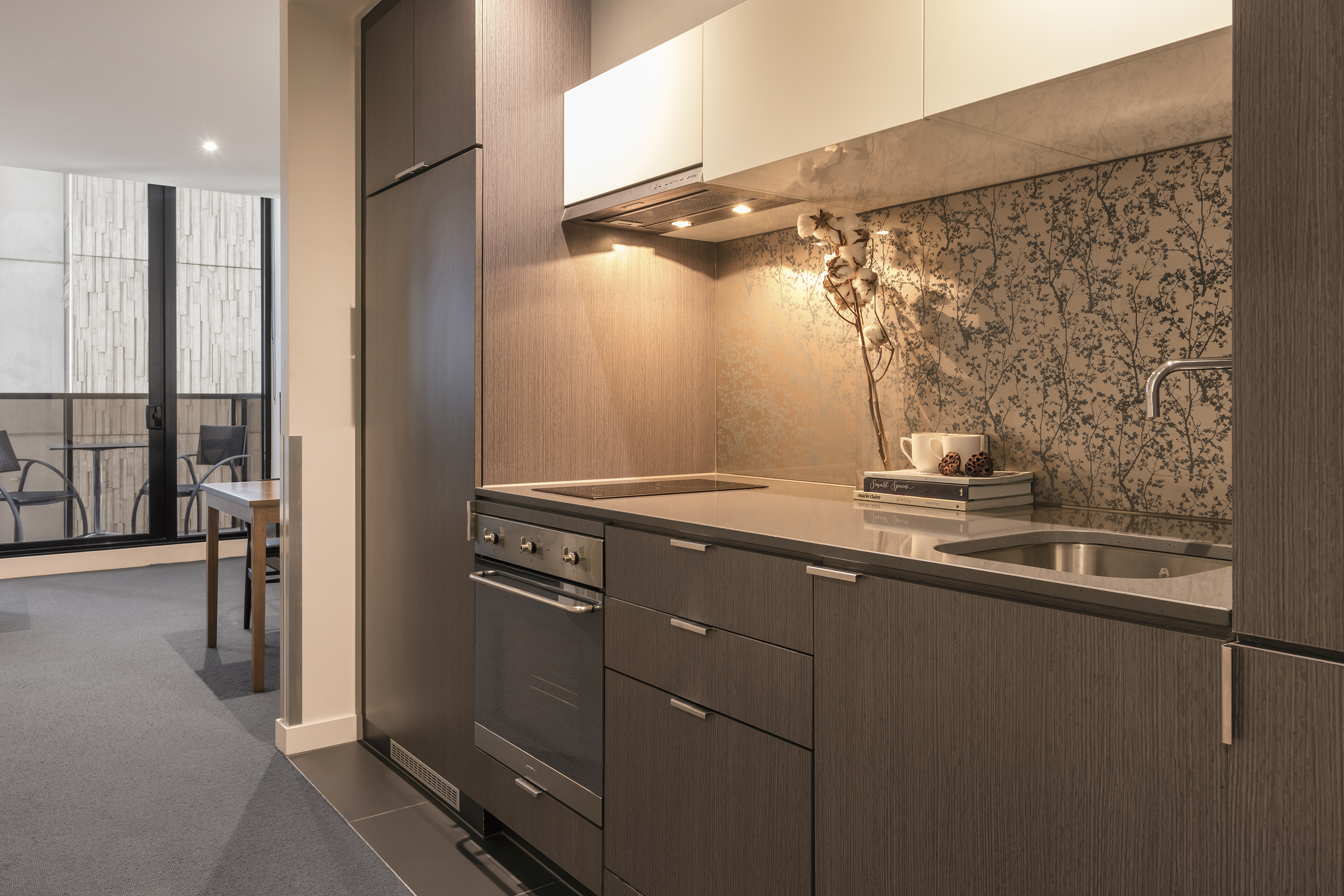 一卧室豪华公寓