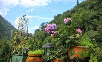 Sofia Garden Homestay