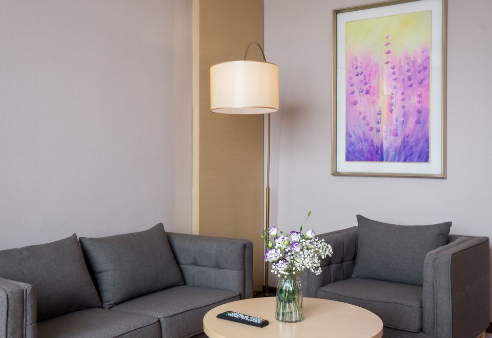 商务大床套房（独立客厅+会客沙发+空气净化器）