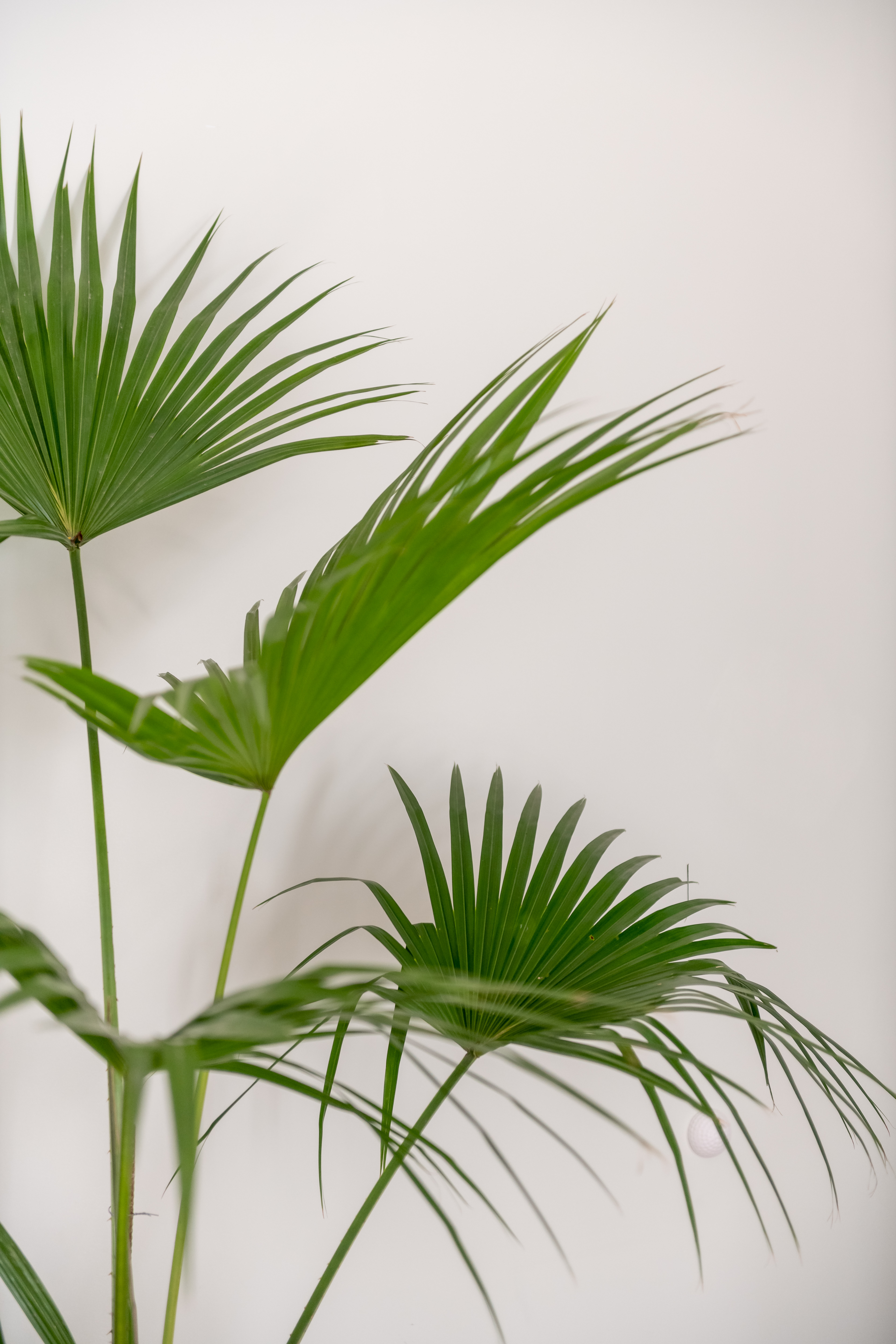 聽海.奢華智慧大床房