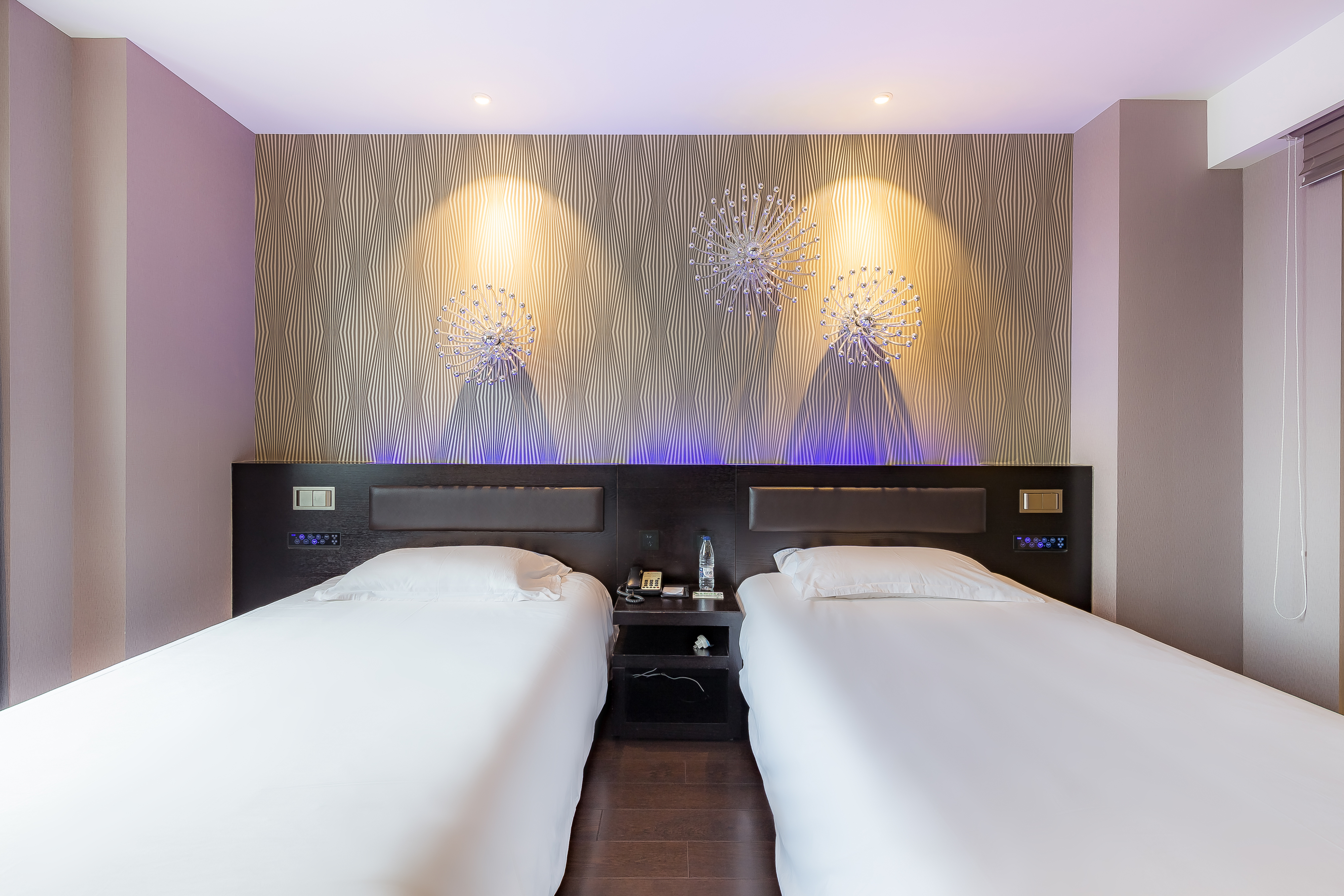 豪华双床房（电视投屏+小冰箱）