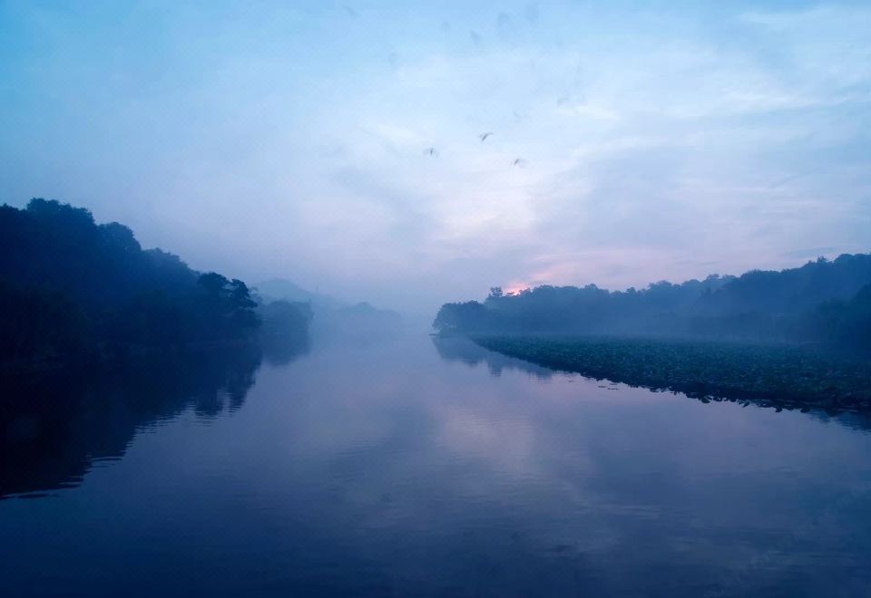 Hangzhou Shusheng Longjing HotelGuestroom - Double Occupancy (Double Bed)