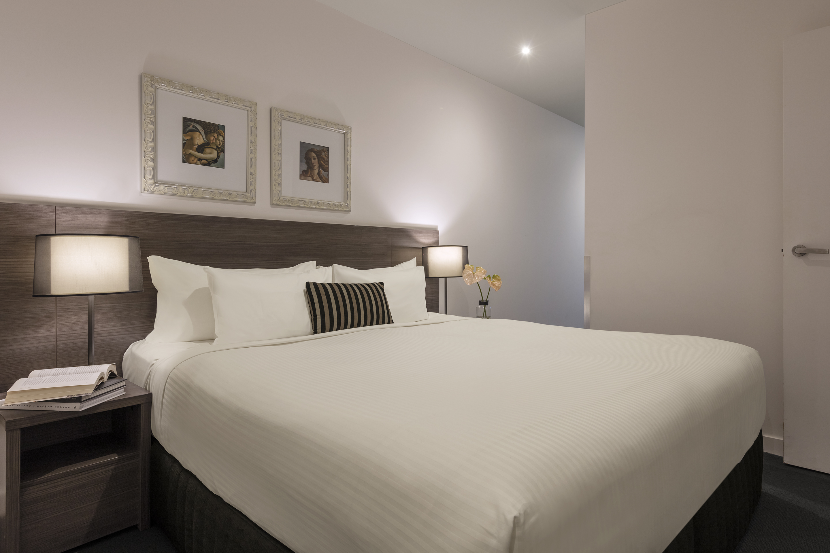 一卧室豪华公寓