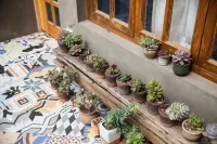 Old locust Homestay 시안 건축과학대학-남원 주변 호텔