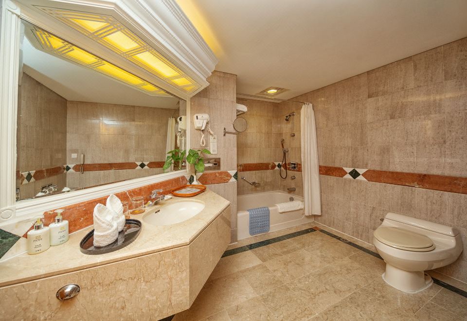 銀闕.豪華都市繁花套房（一房一廳）