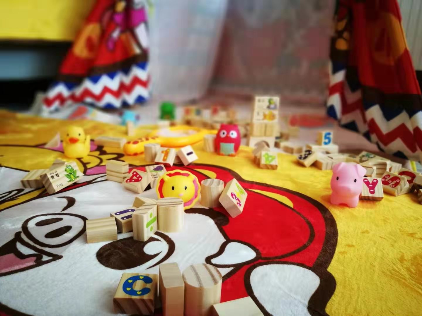 猪猪侠酷芽亲子房