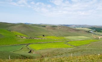 Yearning for the grassland